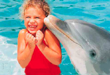 The Bahamas, Caribbean, Dolphin Encounter The Bahamas, Caribbean, Dolphin Encounter