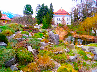 Innsbruck, Austria, Botanischer Garten