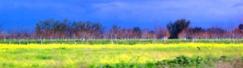 Napa Valley, California Napa Valley, California